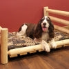 Lakeland Mills Cedar Log Medium Pet Bed